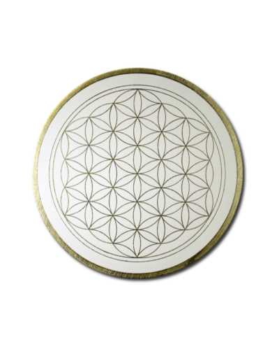 Wandbild Blume des Lebens_Webseite Projektbilder